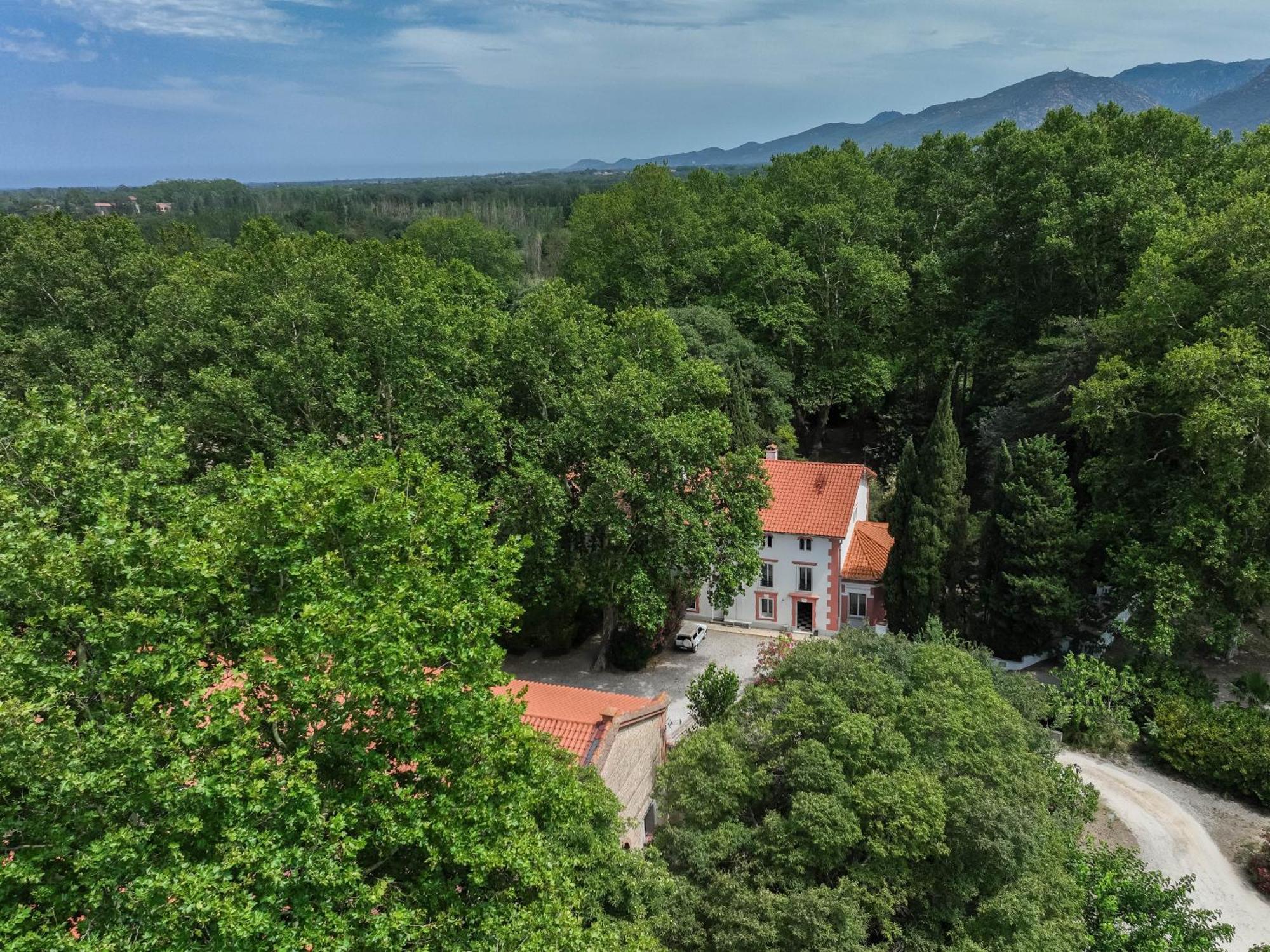 Gites Du Castell De Bles Saint-Génis Eksteriør billede